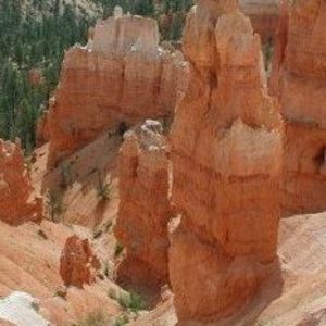 Meet your Posher, Paula